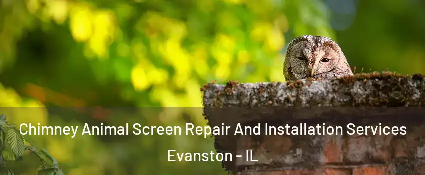  Chimney Animal Screen Repair And Installation Services Evanston - IL