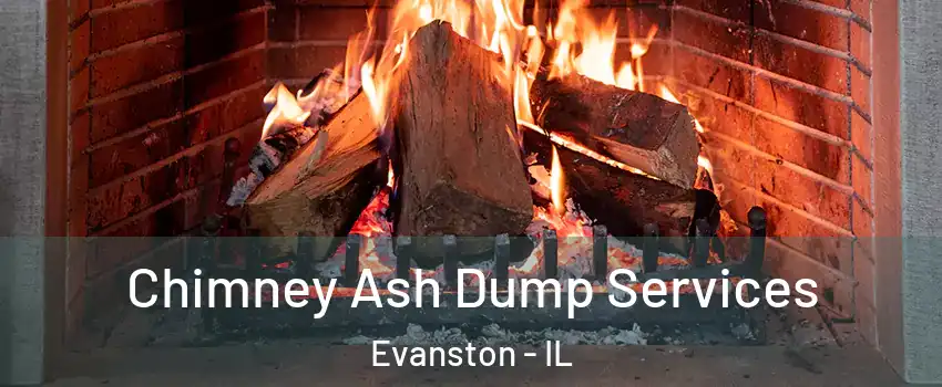  Chimney Ash Dump Services Evanston - IL