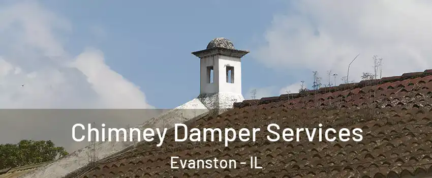  Chimney Damper Services Evanston - IL