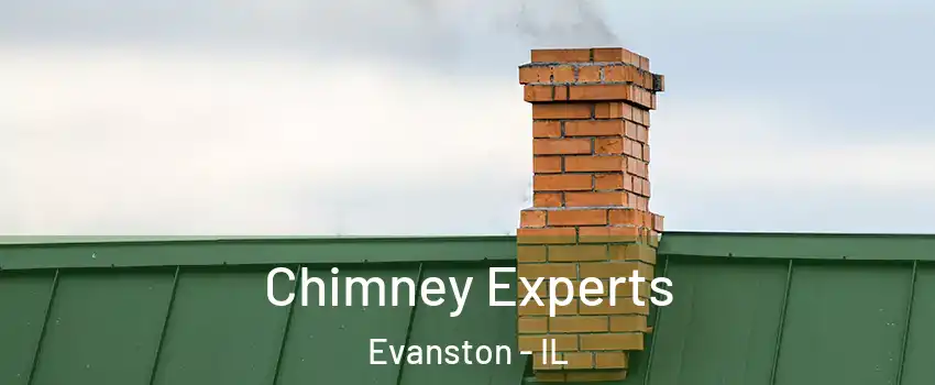  Chimney Experts Evanston - IL
