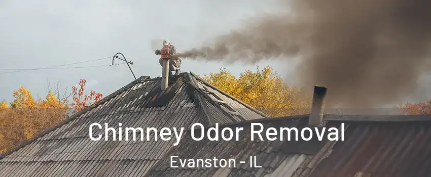  Chimney Odor Removal Evanston - IL