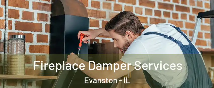  Fireplace Damper Services Evanston - IL