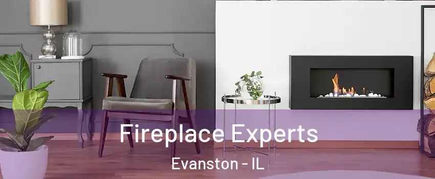  Fireplace Experts Evanston - IL