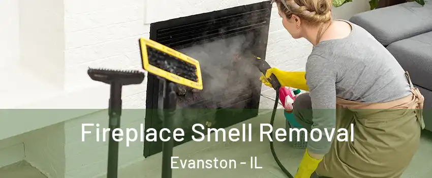  Fireplace Smell Removal Evanston - IL