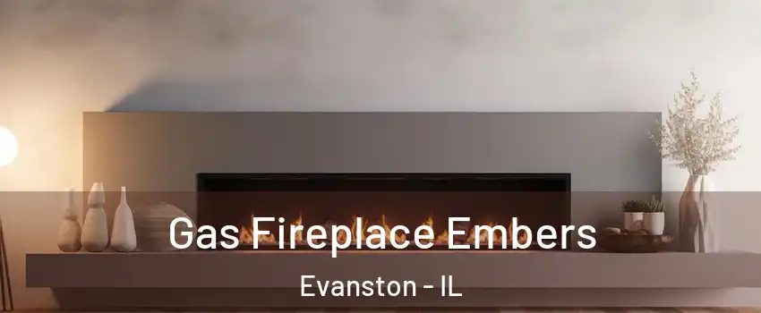 Gas Fireplace Embers Evanston - IL