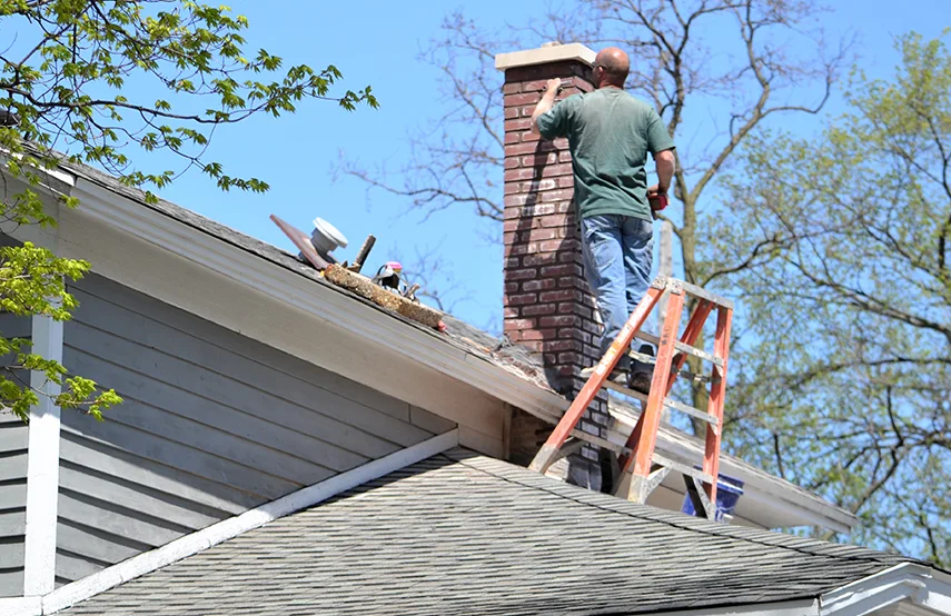 Chimney & Fireplace Inspections Services in Evanston, IL