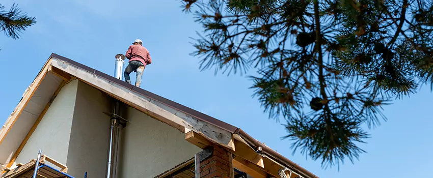 Birds Removal Contractors from Chimney in Evanston, IL
