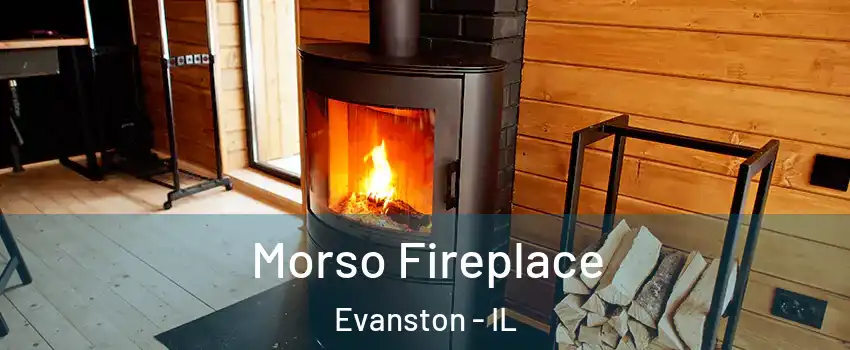 Morso Fireplace Evanston - IL