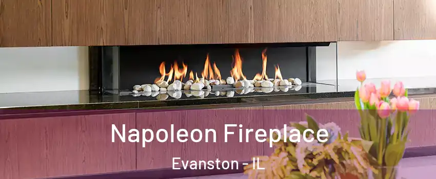  Napoleon Fireplace Evanston - IL
