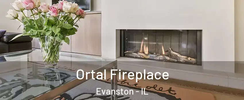  Ortal Fireplace Evanston - IL
