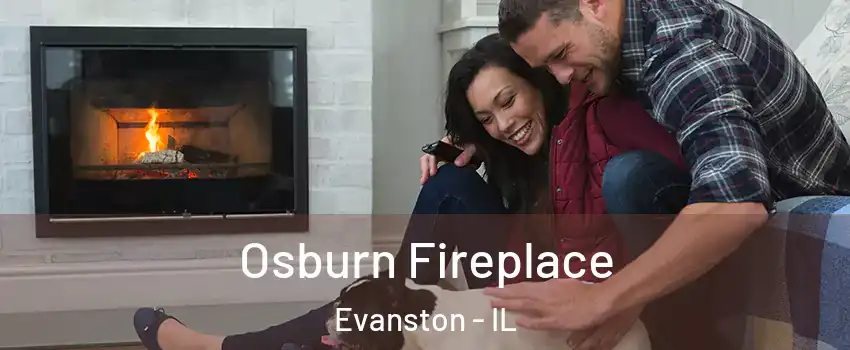  Osburn Fireplace Evanston - IL